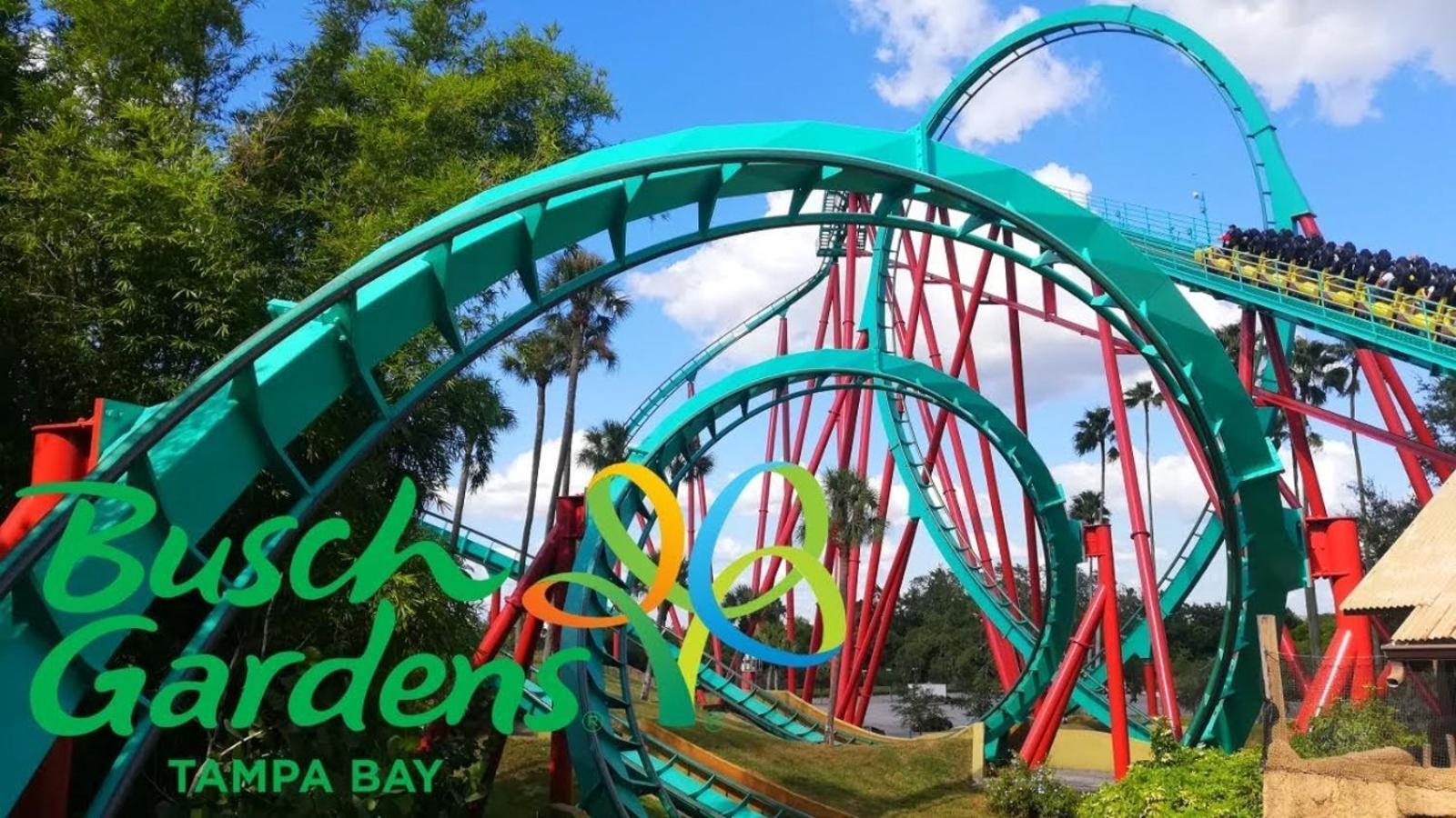 Florida Vibes Center Location 3 Min From Stadium * Tampa