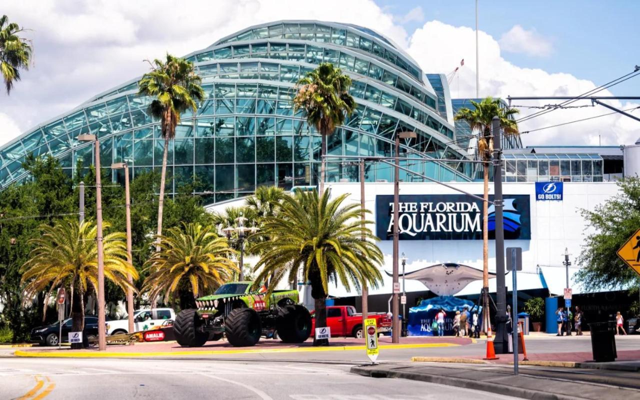 Florida Vibes Center Location 3 Min From Stadium * Tampa